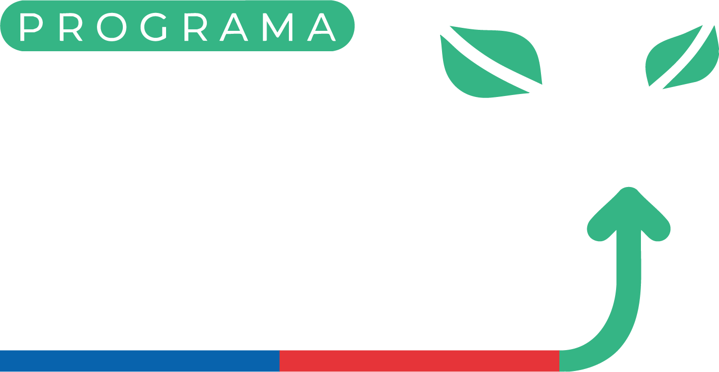 Logo DPS